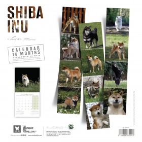 copy of Calendrier chien 2023-2024 Bouledogue français MARTIN SELLIER