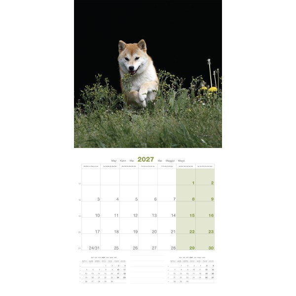 copy of Calendrier chien 2023-2024 Bouledogue français MARTIN SELLIER