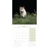 CALENDRIER chien 2027 SHIBA INU MARTIN SELLIER-DOGFRENCHTOUCH