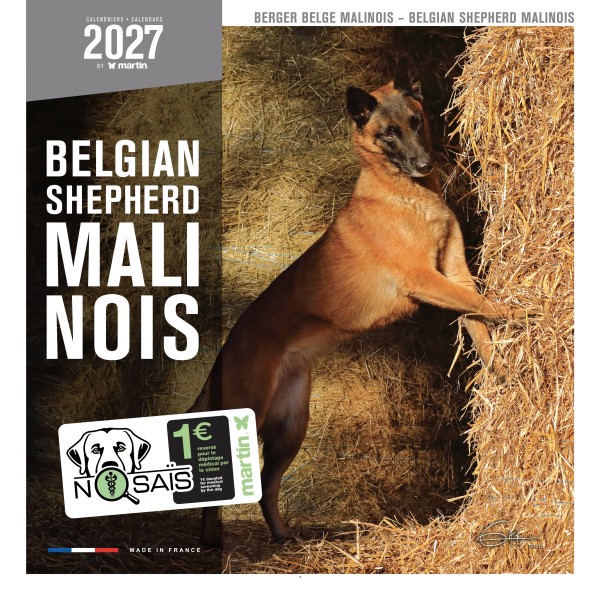 CALENDRIER chien 2027 BERGER BELGE MALINOIS MARTIN SELLIER-DOGFRENCHTOUCH