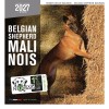 CALENDRIER chien 2027 BERGER BELGE MALINOIS MARTIN SELLIER-DOGFRENCHTOUCH