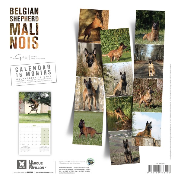 copy of Calendrier chien 2023-2024 Bouledogue français MARTIN SELLIER