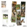 CALENDRIER chien 2027 BERGER BELGE MALINOIS MARTIN SELLIER-DOGFRENCHTOUCH