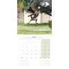CALENDRIER chien 2027 BERGER BELGE MALINOIS MARTIN SELLIER-DOGFRENCHTOUCH