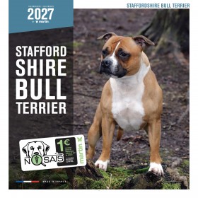 CALENDRIER chien 2027 STAFFORD SHIRE BULL TERRIER MARTIN SELLIER-DOGFRENCHTOUCH