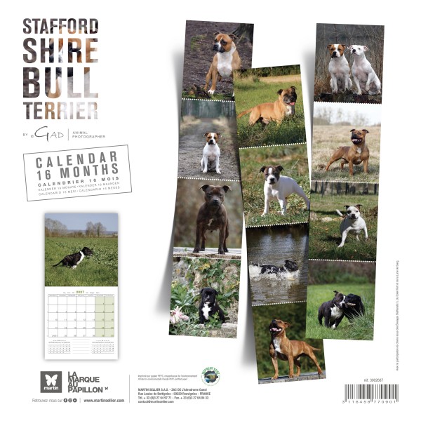 CALENDRIER chien 2027 STAFFORD SHIRE BULL TERRIER MARTIN SELLIER-DOGFRENCHTOUCH