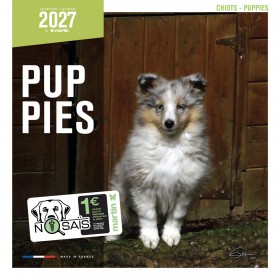 copy of Calendrier chien 2023-2024 Bouledogue français MARTIN SELLIER