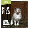 CALENDRIER chien 2027 CHIOTS MARTIN SELLIER-DOGFRENCHTOUCH