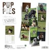 CALENDRIER chien 2027 CHIOTS MARTIN SELLIER-DOGFRENCHTOUCH