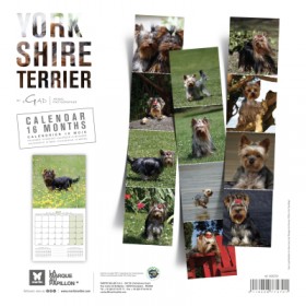 copy of Calendrier chien 2023-2024 Bouledogue français MARTIN SELLIER