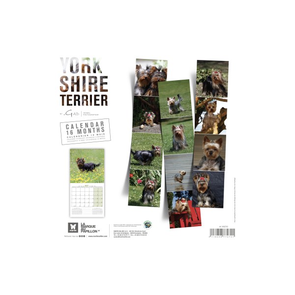 copy of Calendrier chien 2023-2024 Bouledogue français MARTIN SELLIER