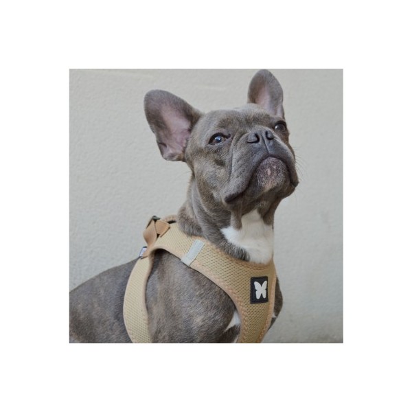 HARNAIS MESH pour chien ou chat couleur beige MARTIN SELLIER-DOGFRENCHTOUCH