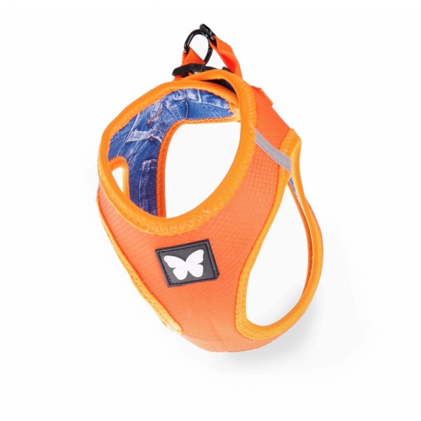 HARNAIS MESH pour chien couleur orange MARTIN SELLIER-DOGFRENCHTOUCH