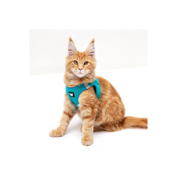 HARNAIS MESH pour chien ou chat couleur turquoise MARTIN SELLIER-DOGFRENCHTOUCH