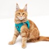 HARNAIS MESH pour chien ou chat couleur turquoise MARTIN SELLIER-DOGFRENCHTOUCH