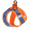 copy of Harnais Canicross Basic ARKA Bleu ARKA HAOK