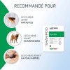 SHAMPOOING ANTIPARASITAIRE pour chien BYE BYE ARTERO-DOGFRENCHTOUCH