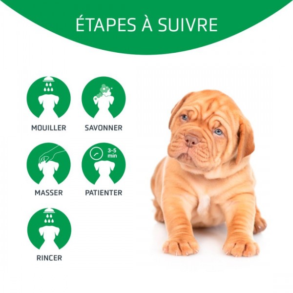 SHAMPOOING ANTIPARASITAIRE pour chien BYE BYE ARTERO-DOGFRENCHTOUCH
