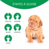 SHAMPOOING ANTIPARASITAIRE pour chien BYE BYE ARTERO-DOGFRENCHTOUCH