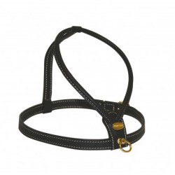 Harnais cuir de veau souple couleur noir pour chien CAMON