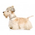 Collier pour chien Ecossais en cuir de veau CAMON
