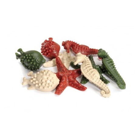 Boîte de friandises Veggie Dental Snack Sea pour chien CAMON