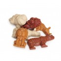 Boîte de friandises Veggie Dental Snack Jungle CAMON