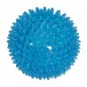 Balle sonore avec picots pour chien CAMON