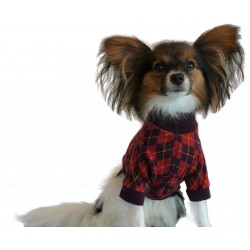 Pull losanges pour chien DogFrenchTouch