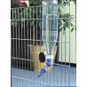 Pipette pour bouteille plastique avec fixation BEEZTEES