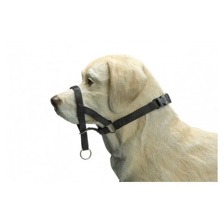 COLLIER HARNAIS DOG CONTROL pour chien BEEZTEES-DOGFRENCHTOUCH