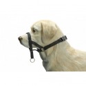 COLLIER HARNAIS DOG CONTROL pour chien BEEZTEES-DOGFRENCHTOUCH