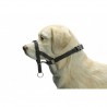 Dog CONTROL pour chien BEEZTEES
