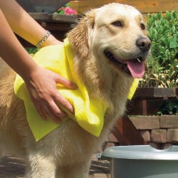 Serviette hyper absorbante pour animaux BEEZTEES