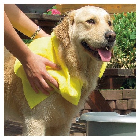 Serviette hyper absorbante pour animaux BEEZTEES