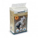 COUCHES JETABLES pour chien et chienne BEEZTEES - DOGFRENCHTOUCH