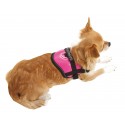 Harnais réglable rose pour chien TEENY WEENY KARLIE