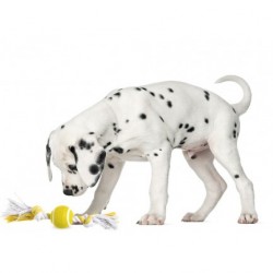 JOUET pour chien BALLE DE TENNIS 6 cm avec noeuds KARLIE - DOGFRENCHTOUCH