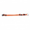 Collier nylon orange réglable pour chien KARLIE