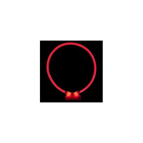 COLLIER LUMINEUX pour chien ou chat couleur rouge RED DINGO-DOGFRENCHTOUCH