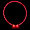 Illuminated Collar