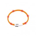 Collier lumineux VisioLight pour chat KARLIE
