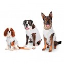 BODY DE SOIN POST OPERATOIRE pour chien couleur gris KARLIE - DOGFRENCHTOUCH