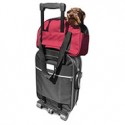 SAC DE TRANSPORT pour chien et chat Collection CROISETTE couleur rouge MARTIN SELLIER-DOGFRENCHTOUCH