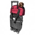 Sac de transport rouge pour chien et chat Collection Croisette Martin Sellier