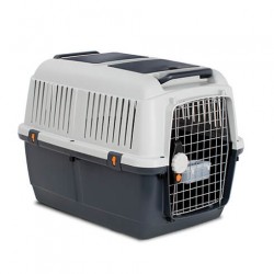 Cage transport pour chiens Bizeaux courts pour coffre voiture Braveur