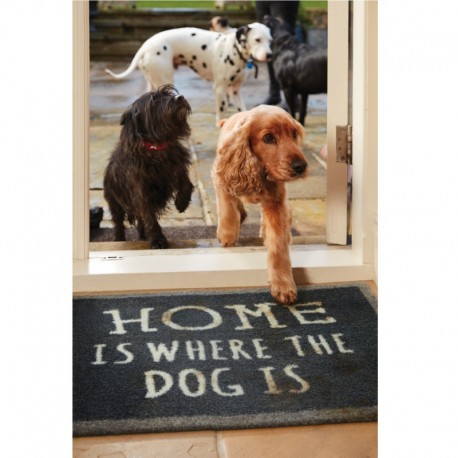 TAPIS D'ENTREE pour chien HOME DOG gris HOWLER & SCRATCH-DOGFRENCHTOUCH