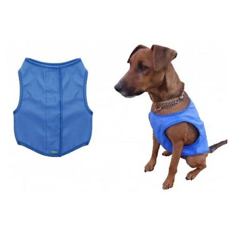 Veste rafraichissante pour chien