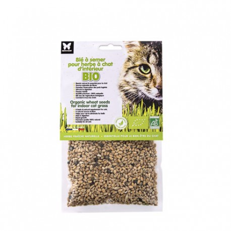 Graines d'herbe à chat Bio à semer MARTIN SELLIER