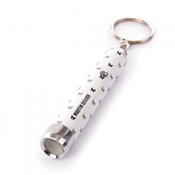 Jouet pour chat POINTEUR LED MARTIN SELLIER